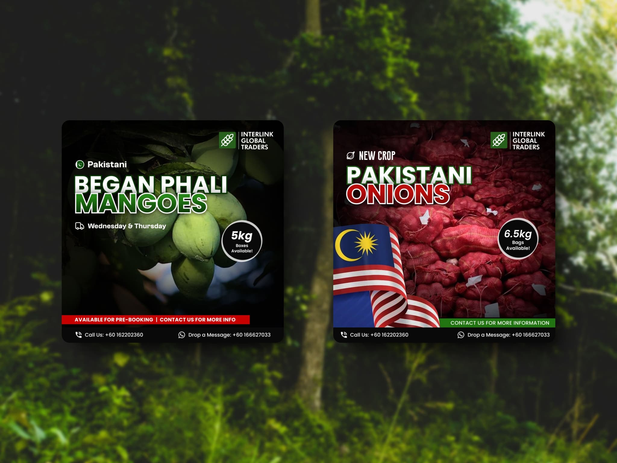 Social Media Designs for IGT